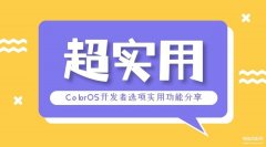 oppo手机开发者选项在哪里关闭(OPPO手机开发者选项实用功能分享)