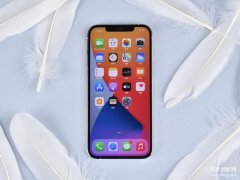 苹果pro和max哪个更好（iPhone手机的选机经验分享）