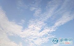 iqoo z1手机参数与配置（iQOO Z1支持双模5G全网通+双wifi）