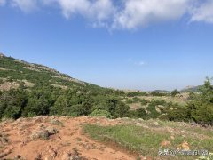 苹果相机怎么调参数风景（手机风景摄影的11大技巧）