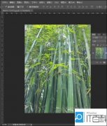 相机水印怎么去掉（快速去除照片上的水印流程）