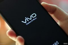 vivo隐藏应用忘记密码怎么办(vivox60忘记密码解决办法)