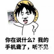 苹果手机打字声音怎么调大（iPhone手机按键音量的调整）
