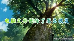 删除的文件怎样恢复（电脑数据恢复的方法汇总）