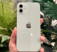 苹果12厚度怎么样（iPhone 12测评体验）