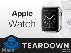 Apple Watch 如何拆卸表带（iPhone手表详细拆解）