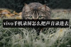 vivo录制屏幕怎么把声音录进去（vivo手机录屏把声音录进去方法）