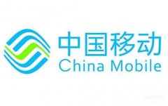 怎么查手机套餐详细（查询手机流量计费方法）