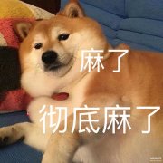opporeno7什么处理器（OPPO Reno7系列测评）
