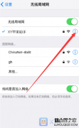苹果手机改ip地址为什么没网了（手机连上wifi却上不了网处理方法）