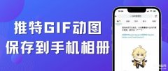 动态图怎么保存在手机上（实现推特GIF保存到手机相册图文教学）