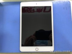 ipad打不开怎么办黑屏（平板开不了机还黑屏的处理技巧）