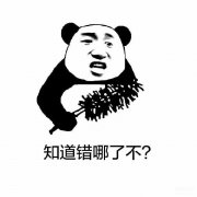 打印机怎么复印资料步骤（手动复印双面文档材料教程）