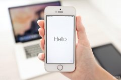 苹果手机id密码在哪里看（iPhone手机解锁ID的办法）