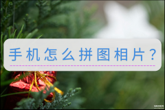 荣耀手机怎么拼图教程（手机拼图相片简单的方法）