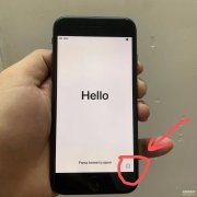 苹果手机怎么看两网还是三网（快速辨别iPhone三网还是两网方法）
