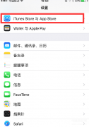 苹果应用商店怎么改成中文（App Store显示英文改回中文的操作流程）