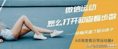 苹果手机怎么看步数（查看微信运动步数方法）