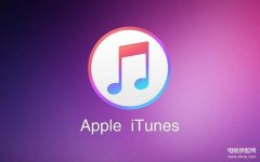 为什么apple store登录不上id（iPhone 无法登录 Apple ID处理方法）