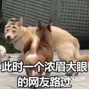 一文带你了解手机云服务(小米手机的云服务功能解析)
