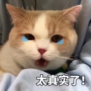 品胜这个牌子可靠吗(品胜充电宝的使用感受)