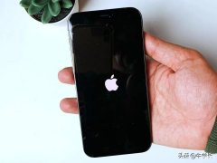 白苹果还能导出照片么（iPhone通用修复方法）