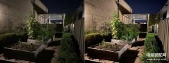 苹果11夜间模式怎么用（iPhone 11系列夜间模式拍照详解）