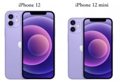 苹果12和苹果12mini有什么区别（ iPhone 12 和 iPhone 12 mini差距）