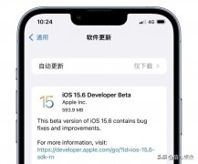 苹果手机15.6系统值得更新吗（iPhone手机系统升级的真实体验）