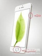 苹果7死机什么原因（iPhone死机处理方法）