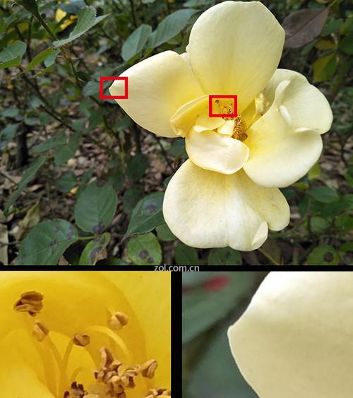 oppoa57参数配置详情(oppoa575g参数配置详情)