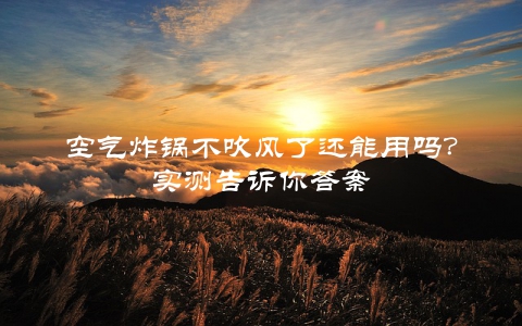 空气炸锅不吹风了还能用吗？实测告诉你答案