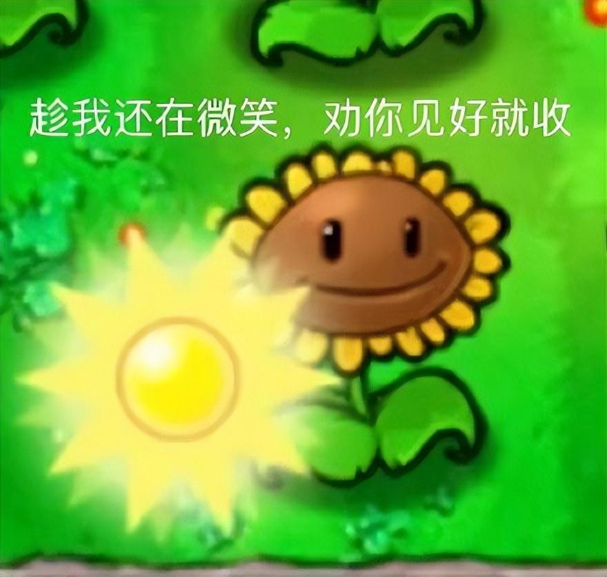 逼得中日网友合作的360，居然变良心了？