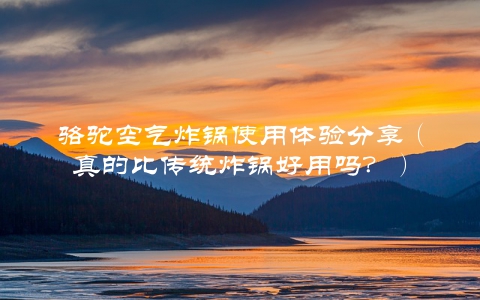 骆驼空气炸锅使用体验分享（真的比传统炸锅好用吗？）