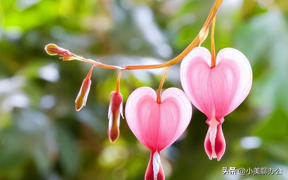 好看的微信id账号格式