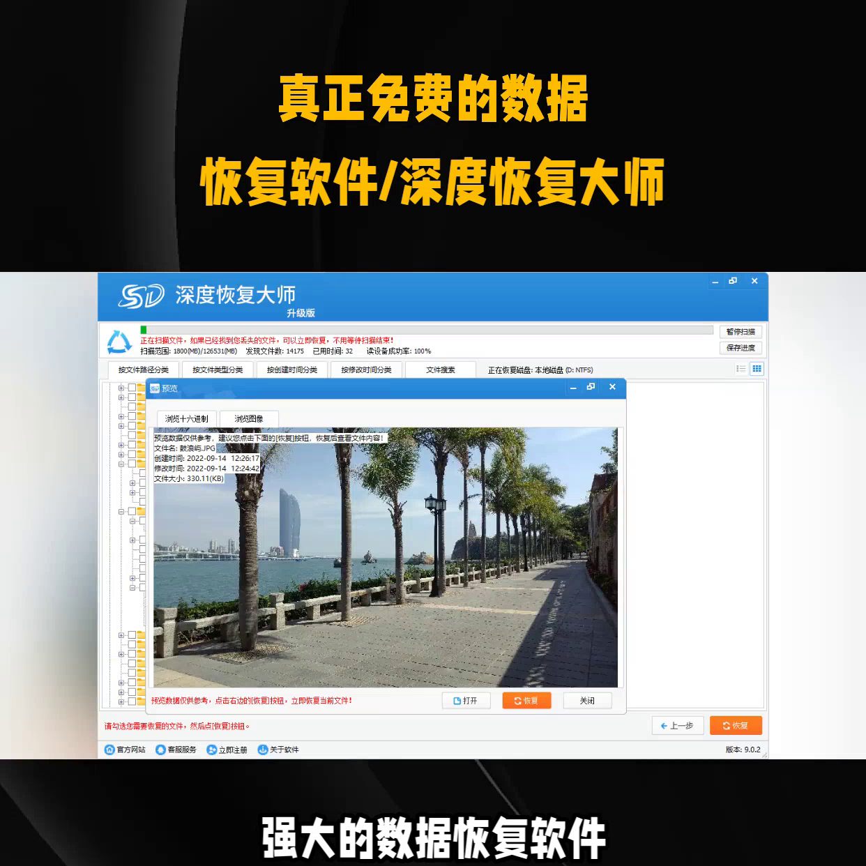 深度恢复大师#硬盘数据恢复软件免费版#免费数据恢复工具...