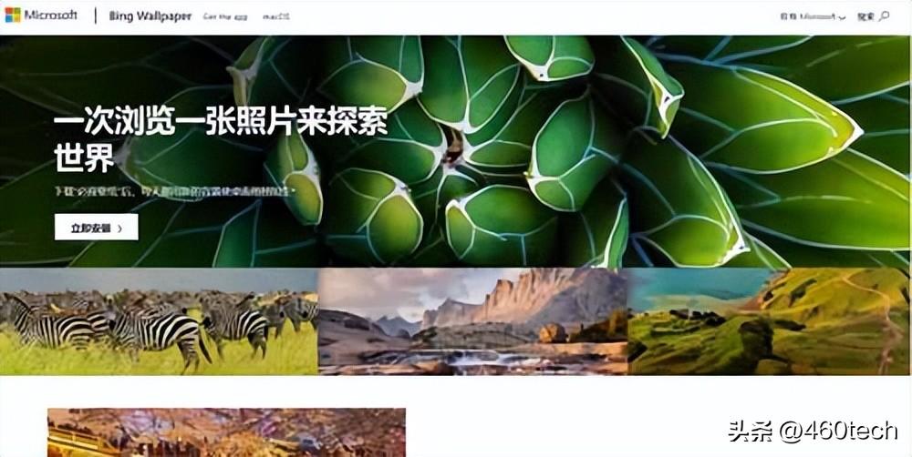 电脑壁纸软件哪个好用？7款好用电脑壁纸软件推荐使用