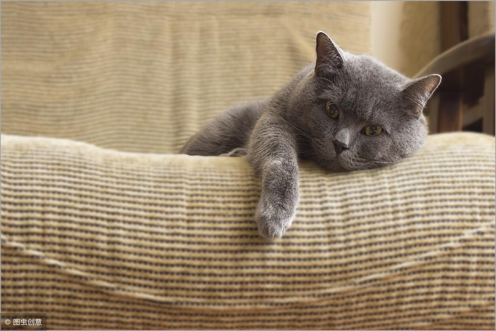 15秒记一个单词(第420个)detail