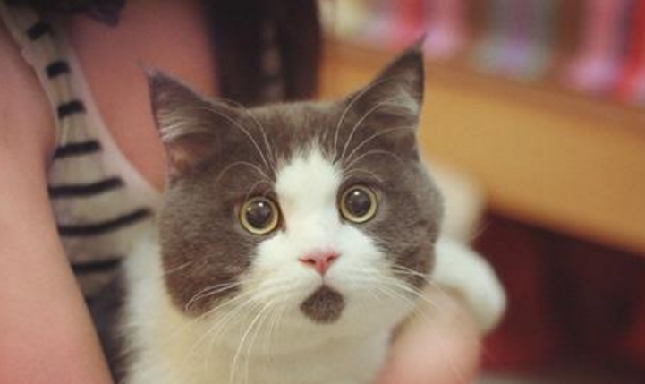 性价比才是真良心，GTX1050显卡炫龙笔记本入手评测