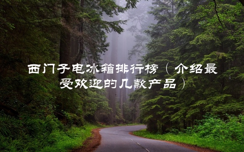 西门子电冰箱排行榜（介绍最受欢迎的几款产品）