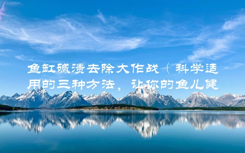 鱼缸碱渍去除大作战（科学适用的三种方法，让你的鱼儿健康快乐）