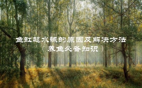 鱼缸起水碱的原因及解决方法（养鱼必备知识）
