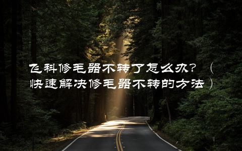 飞科修毛器不转了怎么办？（快速解决修毛器不转的方法）
