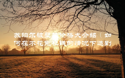 苏珀尔破壁机价格大介绍（如何在不花冤枉钱的情况下选到最优惠的价格）