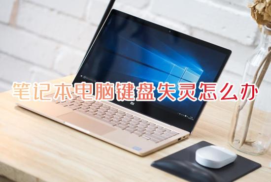电脑键盘打不了字了怎么办？键盘失灵没反应？只需2招立马解决！