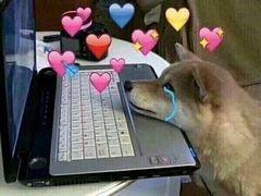 旧电脑一用就卡?试试极致精简Puppy Linux,运行如飞