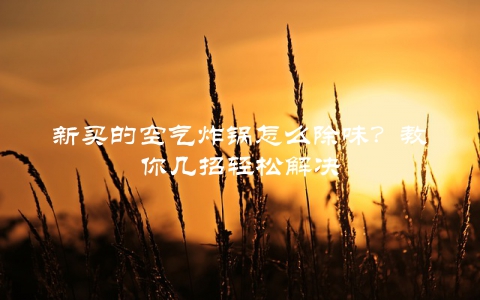 新买的空气炸锅怎么除味？教你几招轻松解决