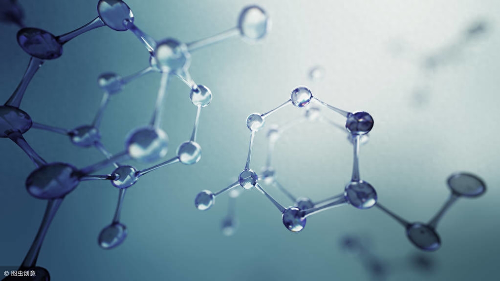 20秒记一个单词（第521个）biology