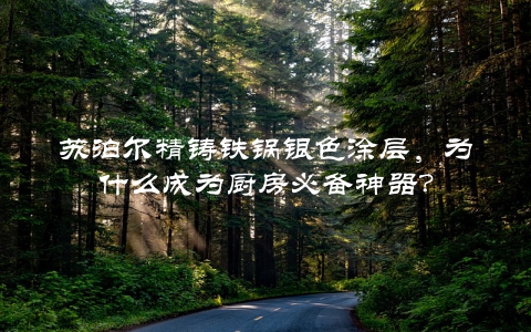 苏泊尔精铸铁锅银色涂层，为什么成为厨房必备神器？