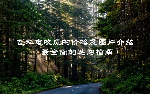 飞科电吹风的价格及图片介绍（最全面的选购指南）